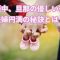 妊娠中旦那が優しい